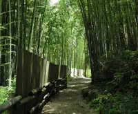 酒船石の写真・動画_image_27355