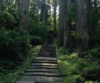 羽黒山の写真・動画_image_40958