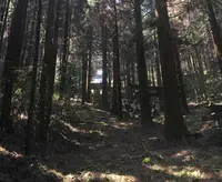 上色見熊野座神社の写真・動画_image_71059