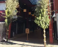 浅草西参道商店街の写真・動画_image_210768