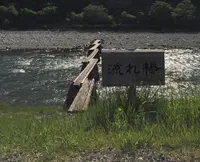 名畑の流れ橋の写真・動画_image_179223