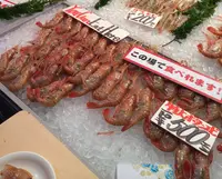 近江町市場の写真・動画_image_23460