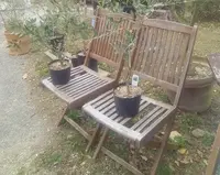 牛窓オリーブ園の写真・動画_image_125337