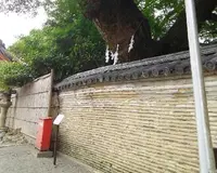 石清水八幡宮の写真・動画_image_99302