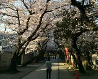 法明寺の写真・動画_image_132103