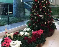 新宿グリーンタワービルの写真・動画_image_208851