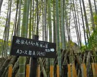 修禅寺の写真・動画_image_18030
