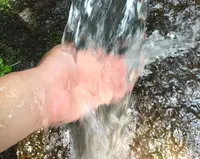 磐梯西山麓湧水群（代表　龍ケ沢湧水）の写真・動画_image_59173