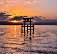 白鬚神社の写真・動画_image_444180