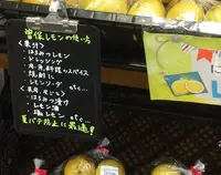 マルヨシセンター　高瀬店の写真・動画_image_36805