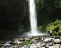 阿弥陀ヶ滝の写真・動画_image_574784