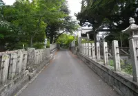 子安神社の写真・動画_image_20436