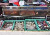 満幸商店の写真・動画_image_22949