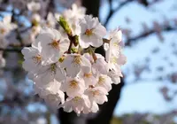 千秋公園の写真・動画_image_24982
