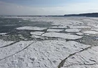 道の駅流氷街道網走の写真・動画_image_25880