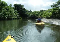 ピナイサーラの滝の写真・動画_image_35816