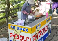 桂浜の写真・動画_image_46452