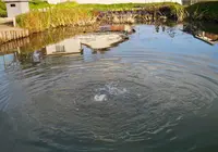 もちむぎのやかたの写真・動画_image_66078