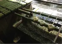 梨木神社の写真・動画_image_72418