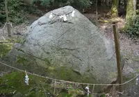 白鬚神社の写真・動画_image_74481