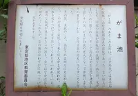 がま池の写真・動画_image_134160