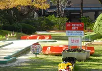 パターゴルフ場の写真・動画_image_136765