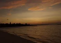 パイナガマの写真・動画_image_150442