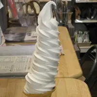 道の駅雁の里せんなんの写真・動画_image_153806