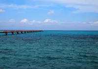 下地島空港の写真・動画_image_157890