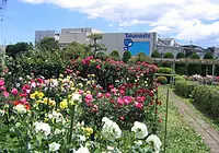 タカナシ乳業（株） 横浜工場の写真・動画_image_175221