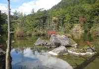上高地の写真・動画_image_205358