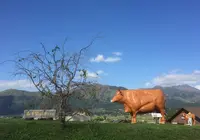 あそ望の郷くぎのの写真・動画_image_207147
