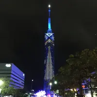 福岡タワーの写真・動画_image_209939