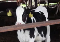 山田牧場の写真・動画_image_228193