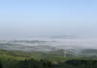 ファームロードわいたの写真・動画_image_345441