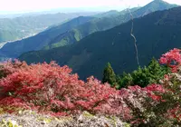 御岳山の写真・動画_image_458085