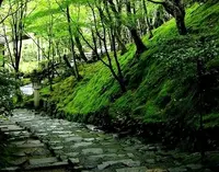 常寂光寺の写真・動画_image_66650