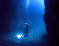 青海島自然研究路の写真・動画_image_89725