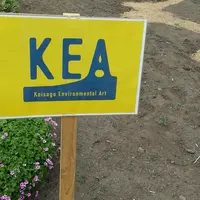 Koisago Enviromental Art 2015（KEA）の写真・動画_image_134707