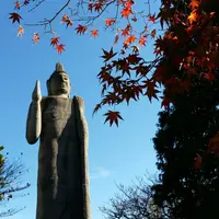清林寺の写真・動画_image_158188