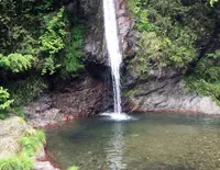 秩父華厳の滝の写真・動画_image_185472