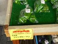 道の駅 宿場町ひらふくの写真・動画_image_30706