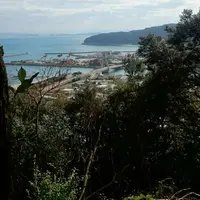 炬口城の写真・動画_image_56964