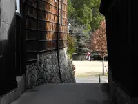 ちょっと裏筋への写真・動画_image_133071