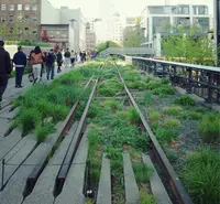 ハイ・ラインの写真・動画_image_182950