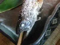 鶴の湯温泉の写真・動画_image_73387