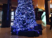 ANAインターコンチネンタルホテル東京の写真・動画_image_209693