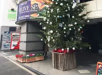 oliveSPA 恵比寿店の写真・動画_image_209699