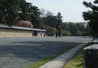 お食事処やまびこの写真・動画_image_110637