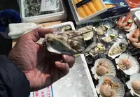 塩釜水産物仲卸市場の写真・動画_image_20036